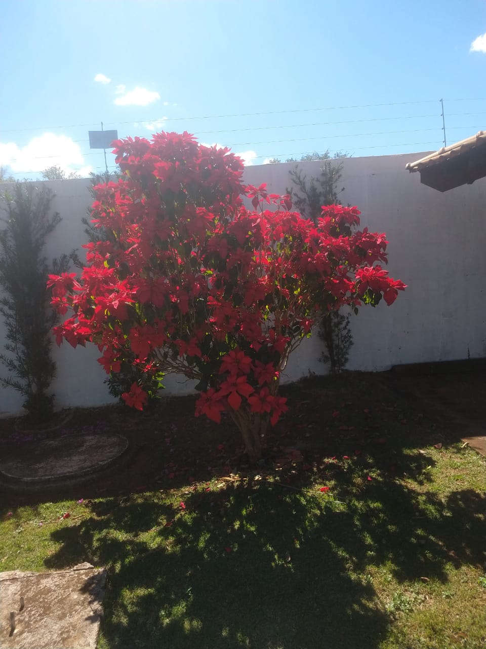 Estrutura da chácara em dia de evento