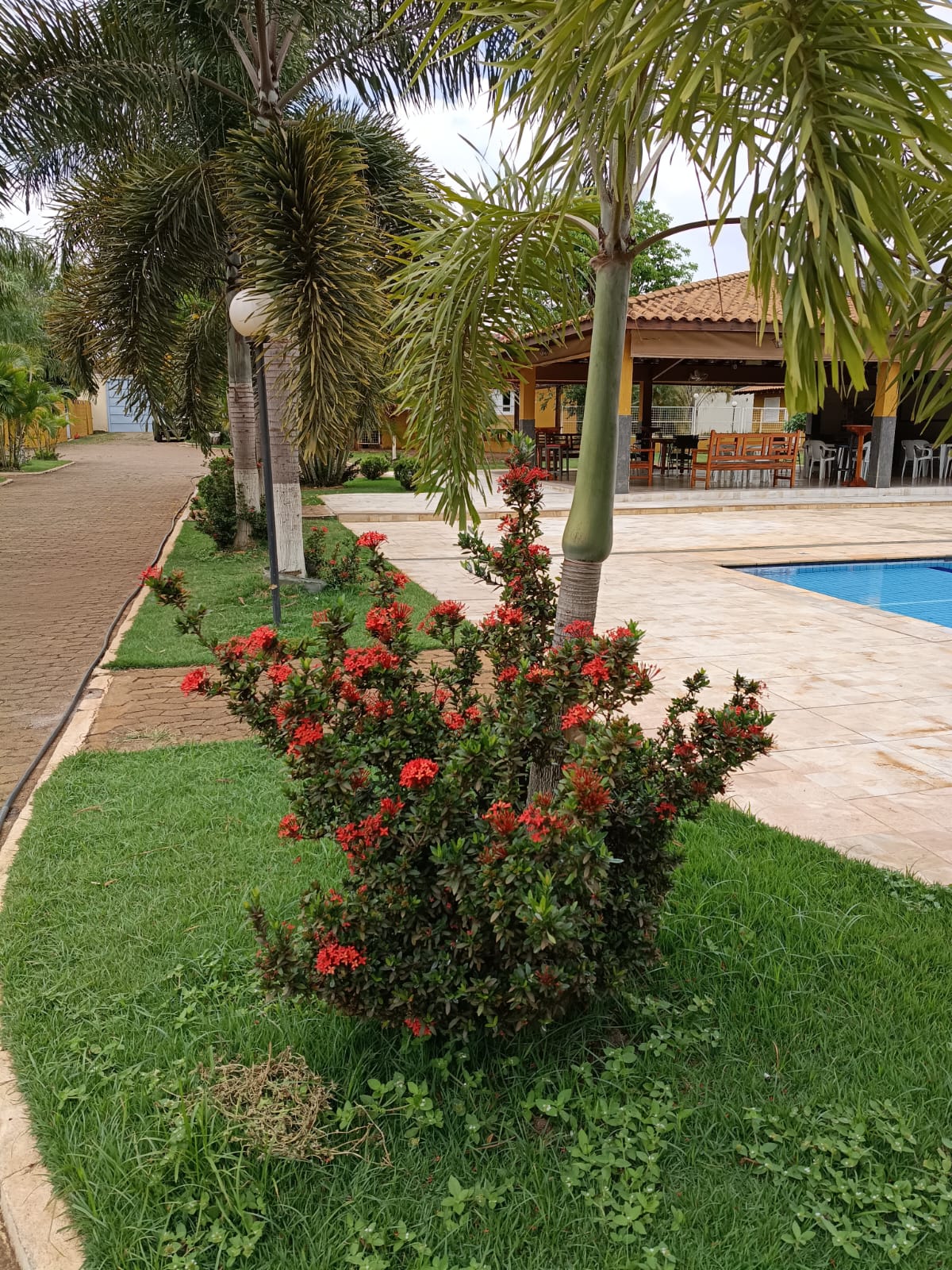 Paisagem da chácara com natureza ao redor